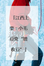 江西上栗：小毛豆变“增收豆”