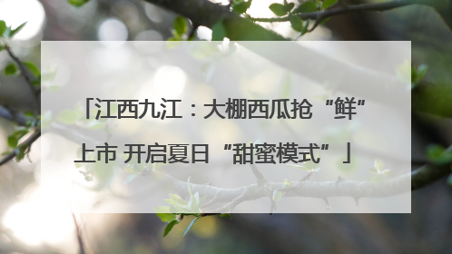 江西九江：大棚西瓜抢“鲜”上市 开启夏日“甜蜜模式”