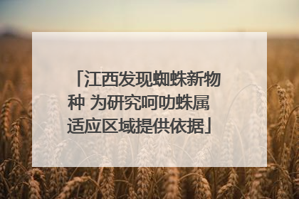 江西发现蜘蛛新物种 为研究呵叻蛛属适应区域提供依据
