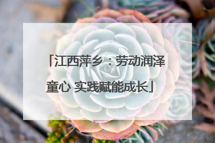 江西萍乡：劳动润泽童心 实践赋能成长