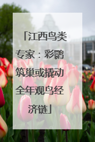 江西鸟类专家：彩鹮筑巢或撬动全年观鸟经济链