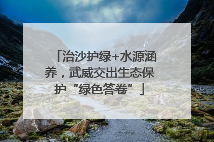 治沙护绿+水源涵养，武威交出生态保护“绿色答卷”