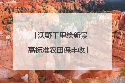 沃野千里绘新景 高标准农田保丰收