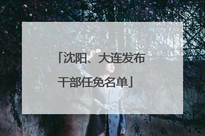 沈阳、大连发布干部任免名单