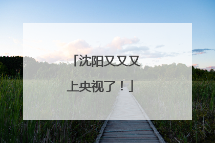 沈阳又又又上央视了！
