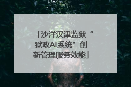 沙洋汉津监狱“狱政AI系统”创新管理服务效能