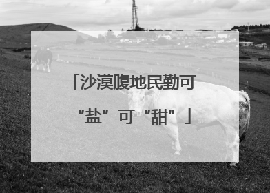 沙漠腹地民勤可“盐”可“甜”