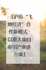 沪苏“飞地经济”合作新模式：以重大项目牵引产业链升级