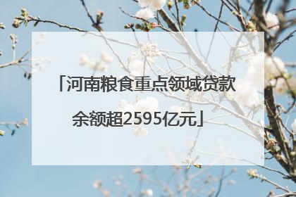 河南粮食重点领域贷款余额超2595亿元