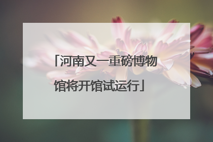 河南又一重磅博物馆将开馆试运行