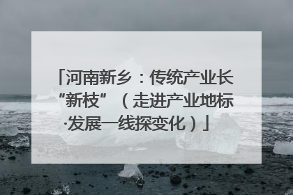 河南新乡：传统产业长“新枝”（走进产业地标·发展一线探变化）