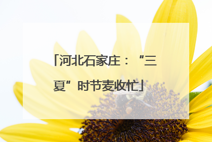 河北石家庄：“三夏”时节麦收忙