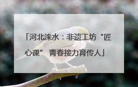 河北涞水：非遗工坊“匠心课” 青春接力育传人
