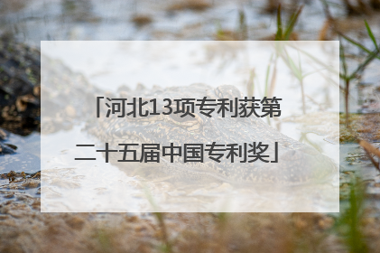 河北13项专利获第二十五届中国专利奖