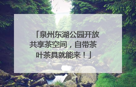 泉州东湖公园开放共享茶空间，自带茶叶茶具就能来！