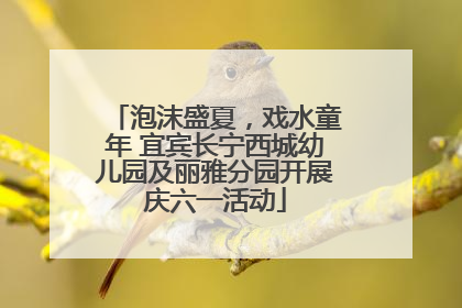 泡沫盛夏，戏水童年 宜宾长宁西城幼儿园及丽雅分园开展庆六一活动