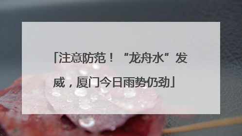 注意防范！“龙舟水”发威，厦门今日雨势仍劲