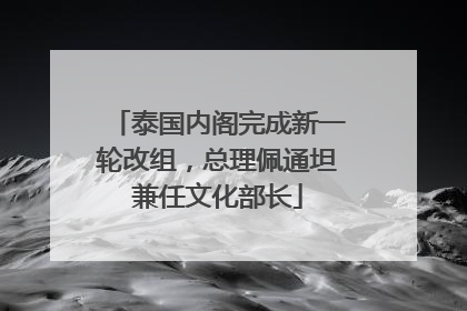 泰国内阁完成新一轮改组，总理佩通坦兼任文化部长