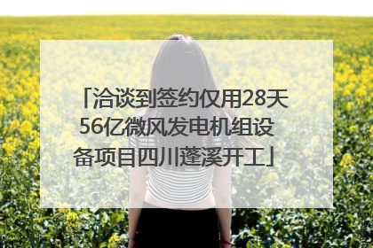 洽谈到签约仅用28天 56亿微风发电机组设备项目四川蓬溪开工