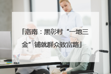 洛南：黑彰村“一地三金”铺就群众致富路
