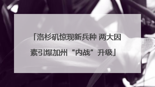洛杉矶惊现新兵种 两大因素引爆加州“内战”升级