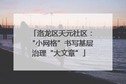 洛龙区天元社区：“小网格”书写基层治理“大文章”