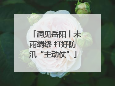 洞见岳阳丨未雨绸缪 打好防汛“主动仗”