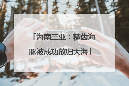 海南三亚：糙齿海豚被成功放归大海