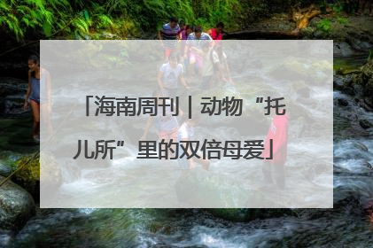 海南周刊｜动物“托儿所”里的双倍母爱