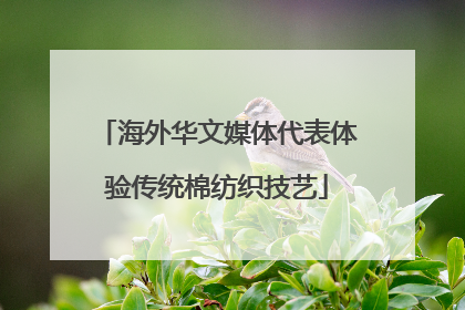 海外华文媒体代表体验传统棉纺织技艺
