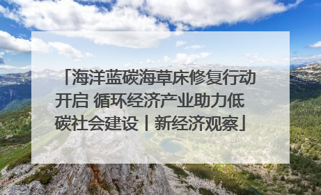 海洋蓝碳海草床修复行动开启 循环经济产业助力低碳社会建设丨新经济观察