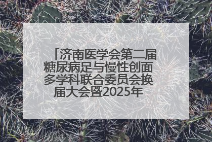 济南医学会第二届糖尿病足与慢性创面多学科联合委员会换届大会暨2025年学术年会成功举行