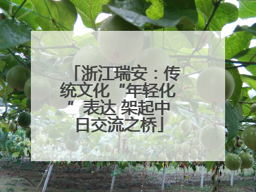 浙江瑞安：传统文化“年轻化”表达 架起中日交流之桥