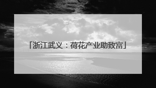 浙江武义：荷花产业助致富