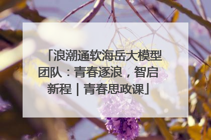 浪潮通软海岳大模型团队：青春逐浪，智启新程｜青春思政课