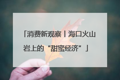 消费新观察丨海口火山岩上的“甜蜜经济”