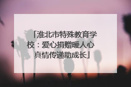 淮北市特殊教育学校：爱心捐赠暖人心 真情传递助成长