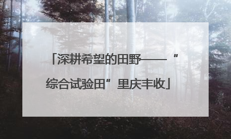 深耕希望的田野——“综合试验田”里庆丰收