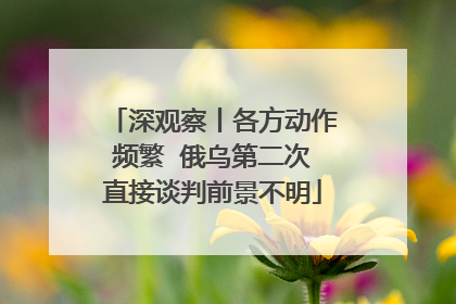深观察丨各方动作频繁  俄乌第二次直接谈判前景不明