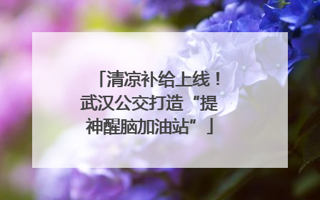清凉补给上线！武汉公交打造“提神醒脑加油站”