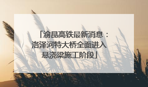渝昆高铁最新消息：洛泽河特大桥全面进入悬浇梁施工阶段