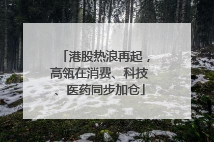 港股热浪再起，高瓴在消费、科技、医药同步加仓