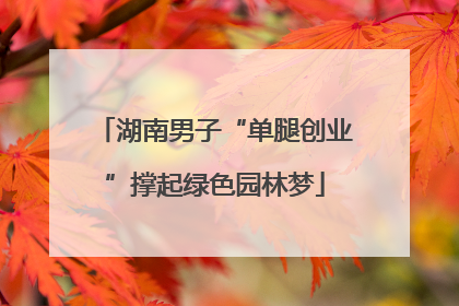湖南男子“单腿创业”撑起绿色园林梦