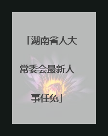 湖南省人大常委会最新人事任免