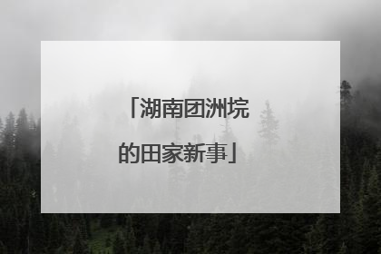 湖南团洲垸的田家新事