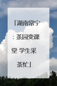 湖南常宁：茶园变课堂 学生采茶忙