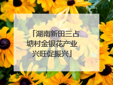 湖南新田三占塘村金银花产业兴旺促振兴