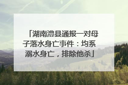 湖南澧县通报一对母子落水身亡事件：均系溺水身亡，排除他杀