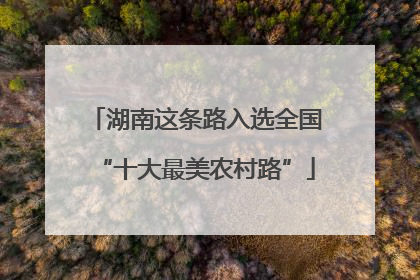 湖南这条路入选全国“十大最美农村路”