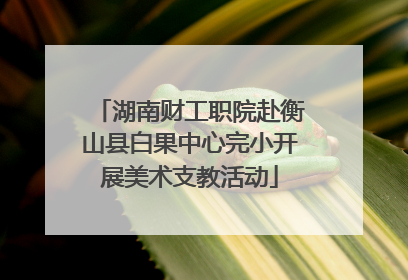 湖南财工职院赴衡山县白果中心完小开展美术支教活动